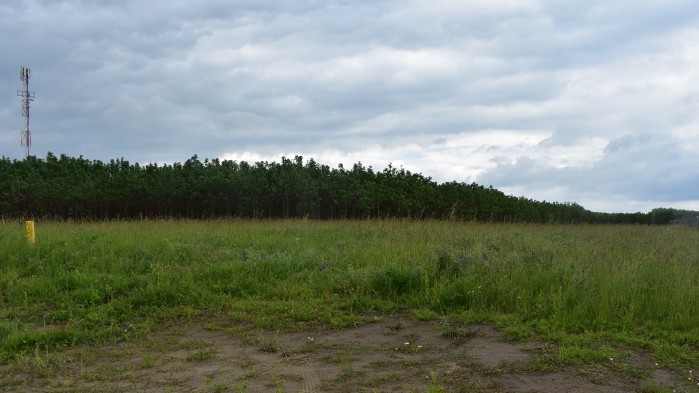 Beépítetlen telek (hrsz: 1921/12)