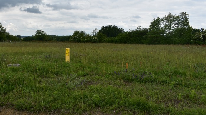 Beépítetlen telek (hrsz: 1921/19)