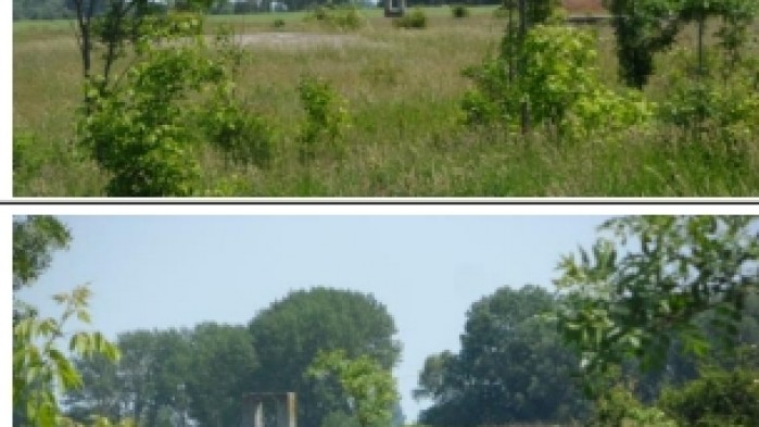 Kalocsa, 0301/1.hrsz.