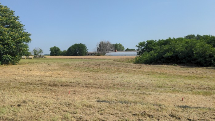 Orgovány hrsz, 1490/17