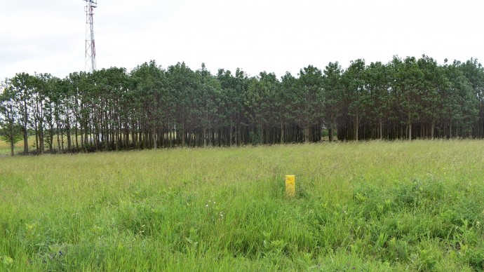 Beépítetlen telek (hrsz: 1921/16)