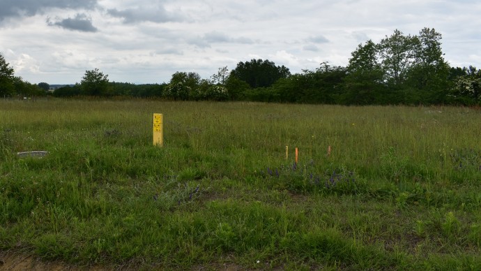 Beépítetlen telek (hrsz: 1921/19)