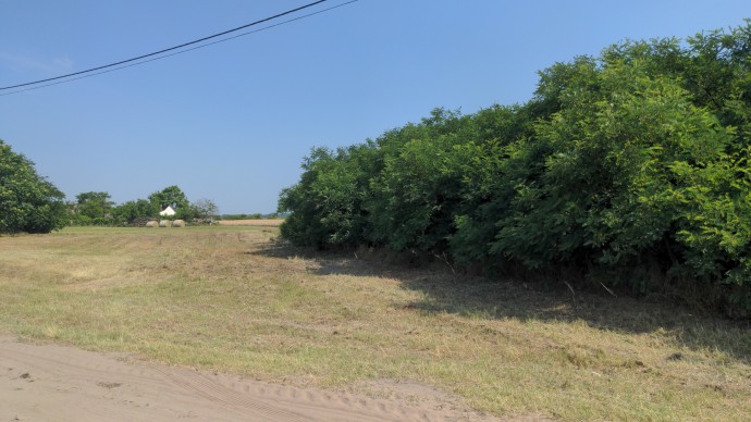 Orgovány hrsz. 1490/19