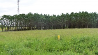 Beépítetlen telek (hrsz: 1921/16)