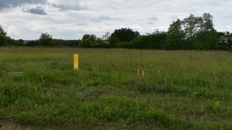 Beépítetlen telek (hrsz: 1921/19)