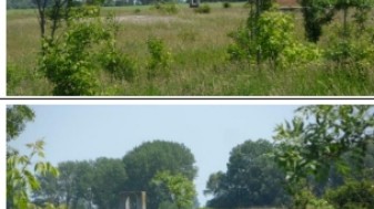 Kalocsa, 0301/1.hrsz.