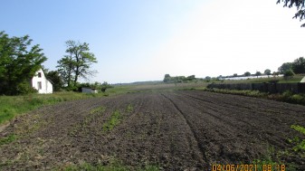 Beépítetlen telek (hrsz: 304)