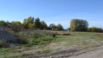 Orgovány hrsz. 1490/14, 1490/15