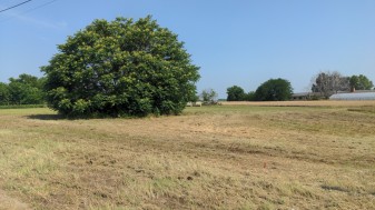 Orgovány hrsz, 1490/17