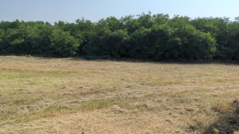 Orgovány hrsz. 1490/18