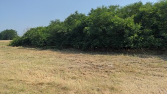 Orgovány hrsz. 1490/18