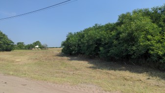 Orgovány hrsz. 1490/19